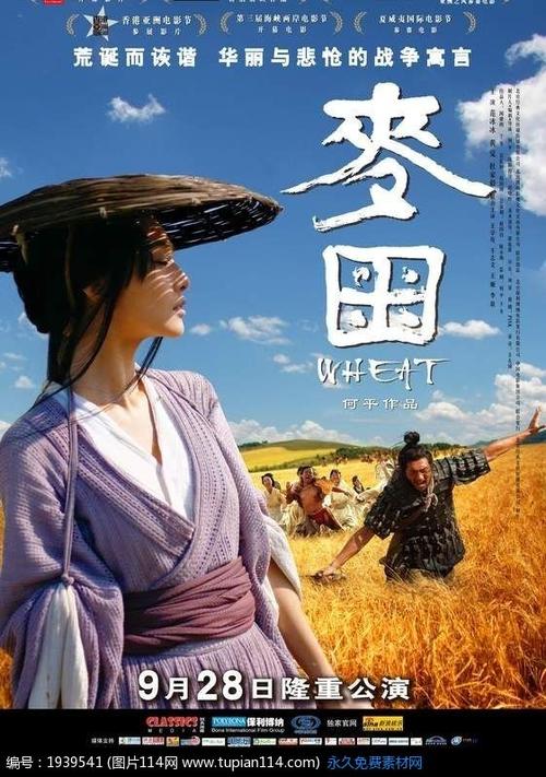 考监理员需要什么学历证书